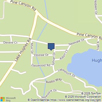 43747 Sylvan Drive Lake Hughes, CA MLS# SR25227342