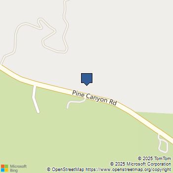 20661 Pine Canyon Pav Road Lake Hughes, CA MLS# SR25101941