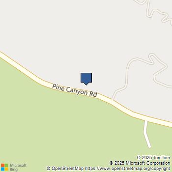 20811 Pine Canyon Road Lake Hughes, CA MLS# SR24017621