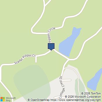 125 Scarlett Pippin Drive Clarkesville, GA MLS# 10668867