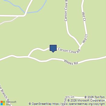 86 Carson Cove Road 5 Ellijay, GA MLS# 10799853