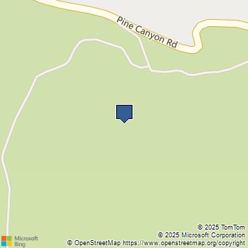 31008 Pine Canyon Road Lake Hughes, CA MLS# 24375535