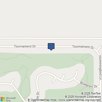 15103 Tournament Drive Helendale, CA MLS# HD25079873