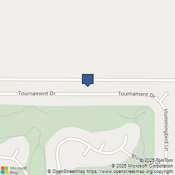 15114 Tournament Drive Helendale, CA MLS# IV25062456