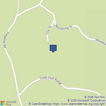 167 Trails End Ridge Ellijay, GA MLS# 10803035