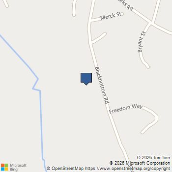 242 Black Bottom Road Liberty, SC MLS# 20305243