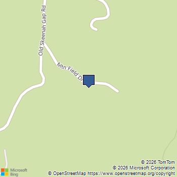 160 Mountain Field Drive Suches, GA MLS# 10869183