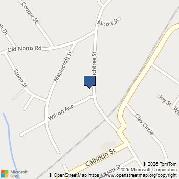 328 S Peachtree Street Liberty, SC MLS# 20298937