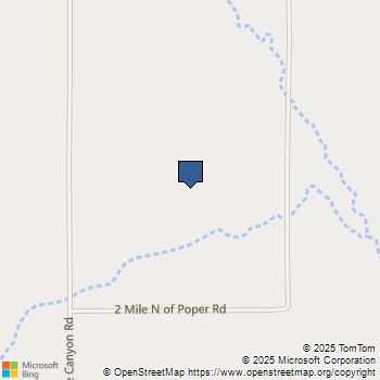 1 N Buckthorne Road Helendale, CA MLS# HD25100903