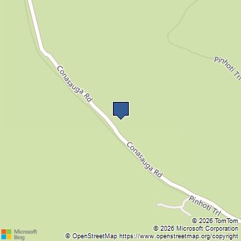 1780 Conasauga Road Ellijay, GA MLS# 10721071