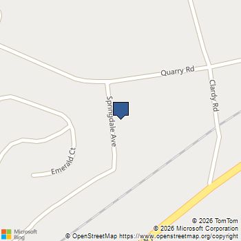 410 Springdale Avenue Liberty, SC MLS# 20298912