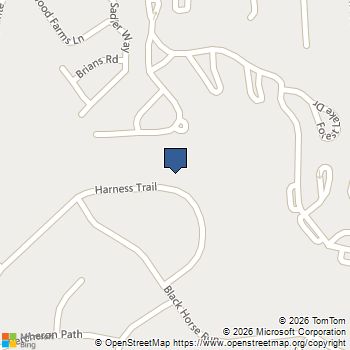 1011 Harness Trail Simpsonville, SC MLS# 20300274