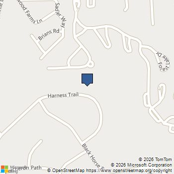 1011 Harness Trail Simpsonville, SC MLS# 1591725