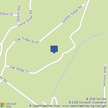 199 Oak Ridge Drive Blairsville, GA MLS# 10723105