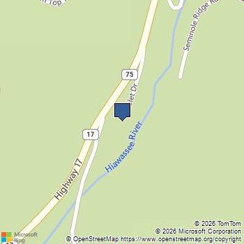 137 Noblet Drive Hiawassee, GA MLS# 10831654
