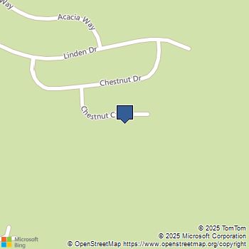 15028 Chestnut Pine Mountain Club, CA MLS# SR25238070