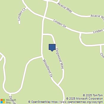 1521 Dogwood Way Pine Mountain Club, CA MLS# SR25234137