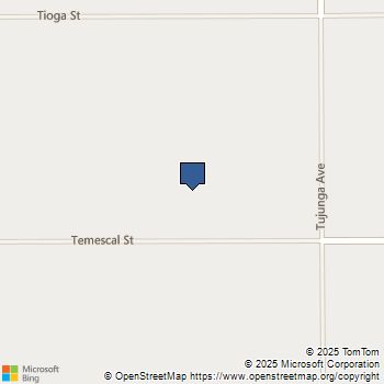 0 Tujunga Ave. & Temescal St. Newberry Springs, CA MLS# TR25035387