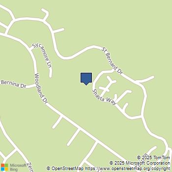 15440 Shasta Way Pine Mountain Club, CA MLS# SR25105605