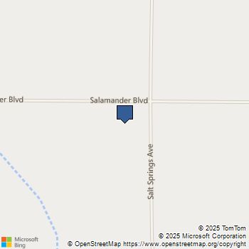 0 Salt Springs Barstow, CA MLS# HD24176215