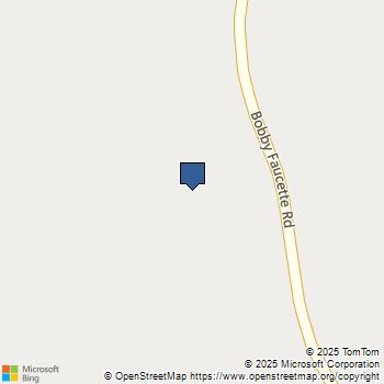 1087 Bobby Faucette Road Jonesville, SC MLS# 614876