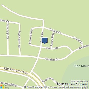 2720 Arctic Drive Pine Mountain Club, CA MLS# SR25158822