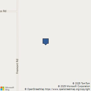 33979 Fremont Rd Newberry Springs, CA MLS# WS25215666