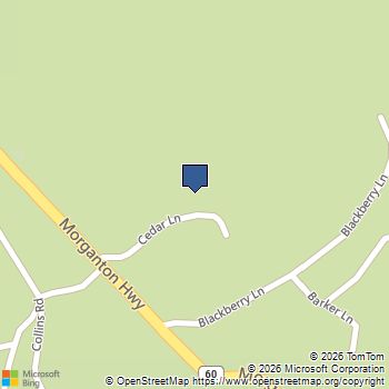 125 Cedar Lane Morganton, GA MLS# 10671181