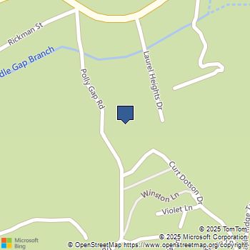 250 LAUREL HEIGHTS Drive Clayton, GA MLS# 10534484