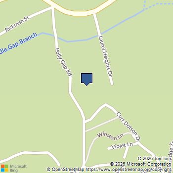 250 LAUREL HEIGHTS Drive Clayton, GA MLS# 10534484