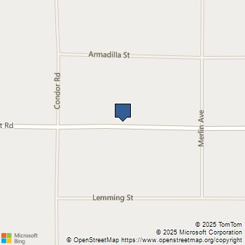 42584 Summerset Road Newberry Springs, CA MLS# IV25070966