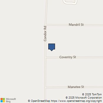 35127 Condor Road Newberry Springs, CA MLS# HD25050466