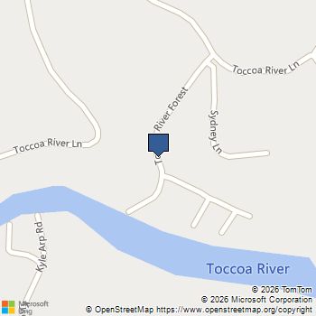 661 Toccoa River Forest Mineral Bluff, GA MLS# 10681373