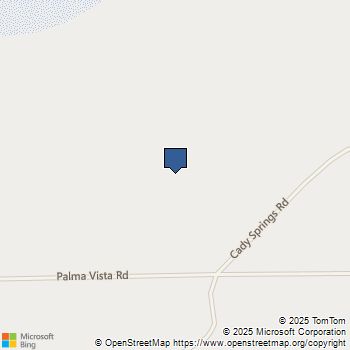 45962 Palma Vista Road Newberry Springs, CA MLS# DW25104931