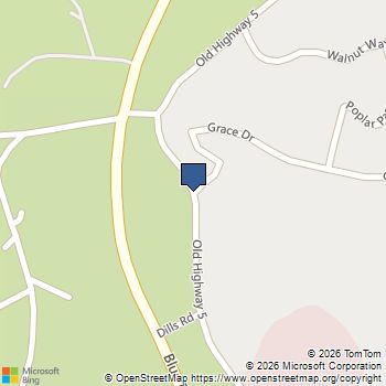 00 Grace Drive Blue Ridge, GA MLS# 10686868