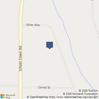 35400 Silver Avenue Yermo, CA MLS# HD24197586