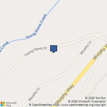 215 Murphy Lane Mineral Bluff, GA MLS# 10741521