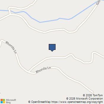287 Rhonda Lane Mineral Bluff, GA MLS# 10867019