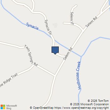 40B Synacia Road Mineral Bluff, GA MLS# 7812150