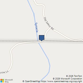TR 1&2 Blue Arrow Lane Mineral Bluff, GA MLS# 10797050