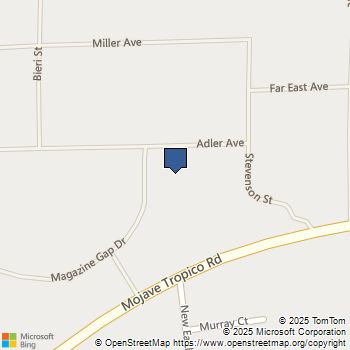 12220 Magazine Gap Drive Mojave, CA MLS# SR25161982