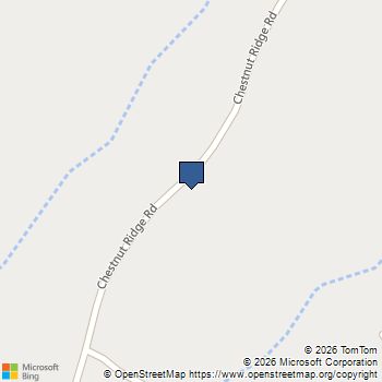 520 Chestnut Ridge Road Marietta, SC MLS# 1593545
