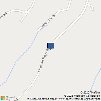 520 Chestnut Ridge Road Marietta, SC MLS# 20302212