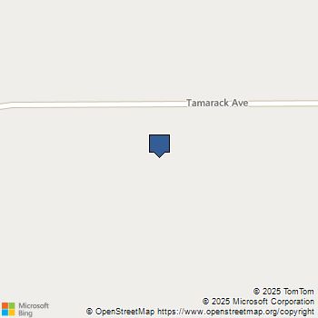 1 268th Street East Mojave, CA MLS# 25500769