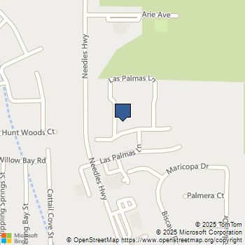 1940 Las Palmas Lane 272 Laughlin, NV MLS# 2699019