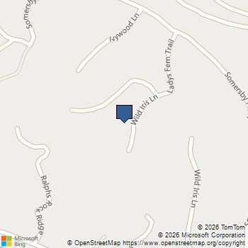 200 Ladys Fern Trail Laurel Park, NC MLS# 4435015
