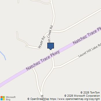 0 Brush Creek Rd Lawrenceburg, TN MLS# 3301928