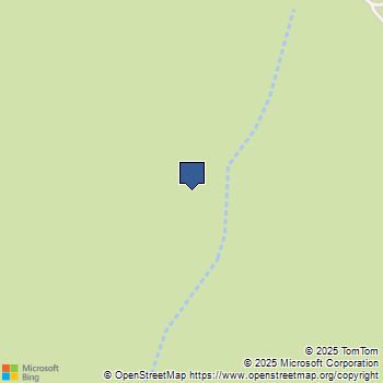 15331006 Mountain Meadow Road Caliente, CA MLS# HD25134706