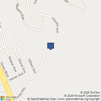 588 Chaney Avenue Cayucos, CA MLS# SC25088672