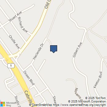 348 Cerro Gordo Avenue Cayucos, CA MLS# SC25235362